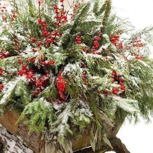 Meet your Posher, Julie